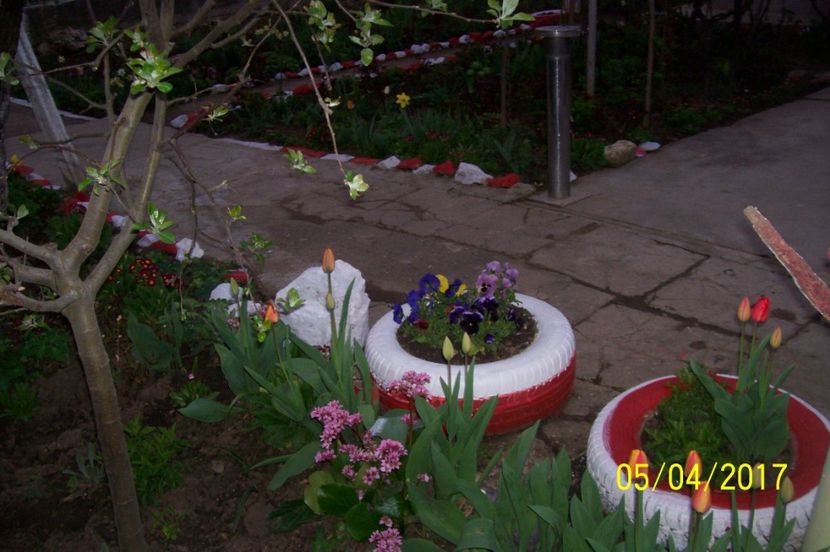  - bine ai venit primavara