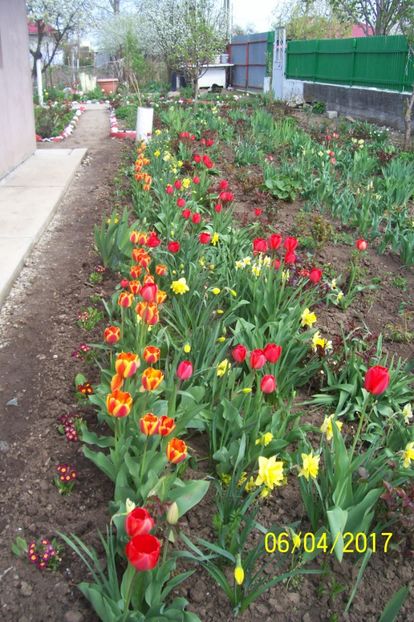  - bine ai venit primavara