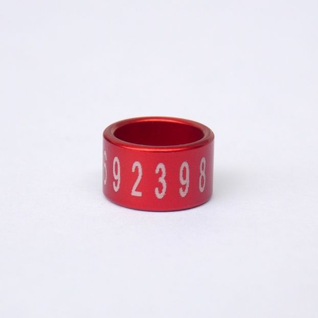 Inele porumbei rosii - Inele prorumbei voiajori personalizate rosii