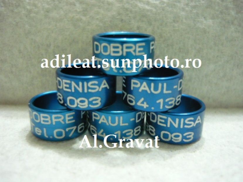 P1120880 - 1-A-INELE PERSONALIZATE 2017