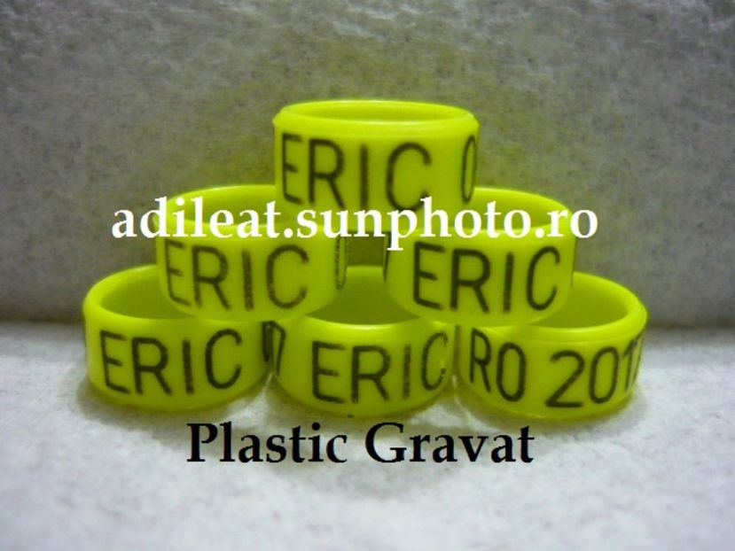 P1120881 - 1-A-INELE PERSONALIZATE 2017