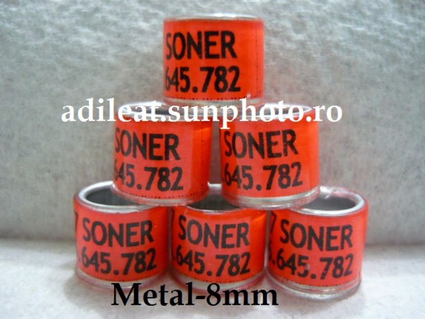 P1120882 - 1-A-INELE PERSONALIZATE 2017