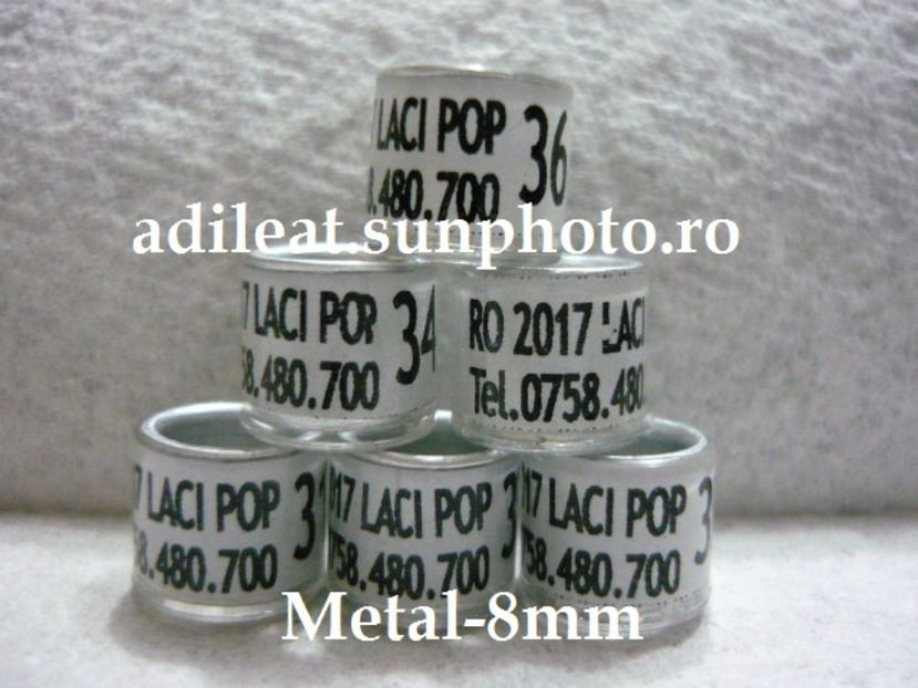 P1120884 - 1-A-INELE PERSONALIZATE 2017