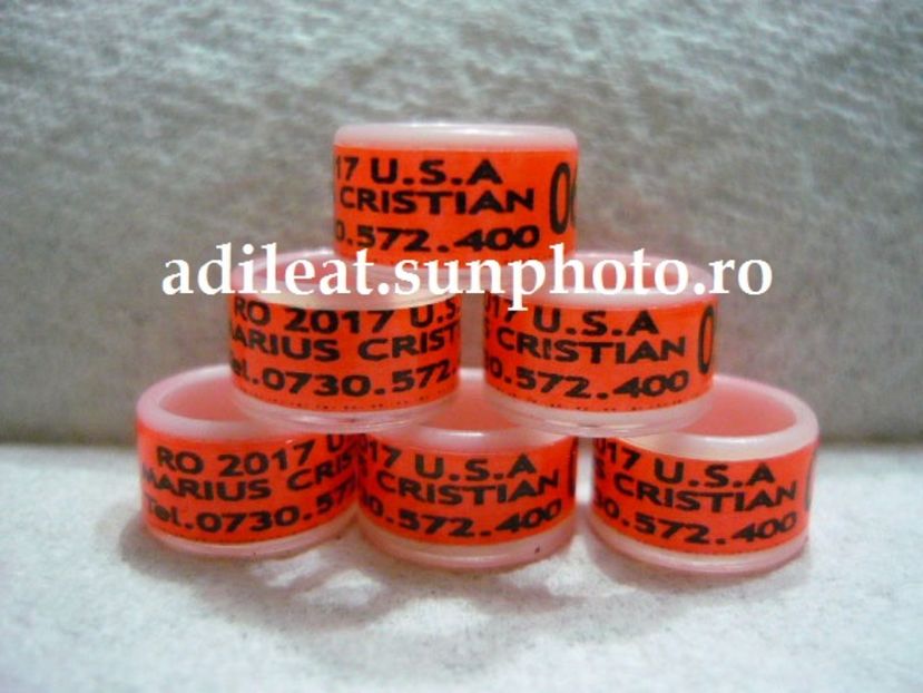 P1120885 - 1-A-INELE PERSONALIZATE 2017