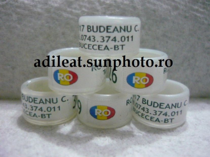 P1120887 - 1-A-INELE PERSONALIZATE 2017