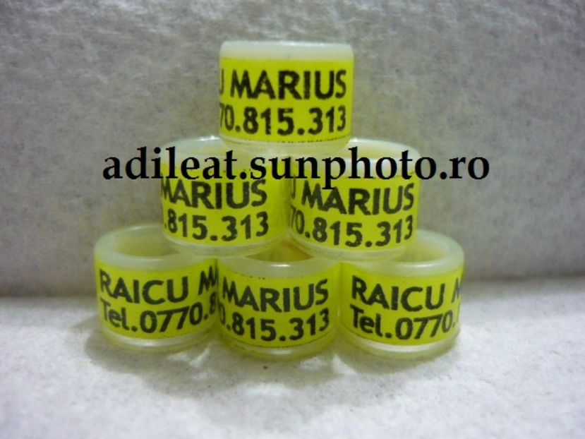 P1120888 - 1-A-INELE PERSONALIZATE 2017