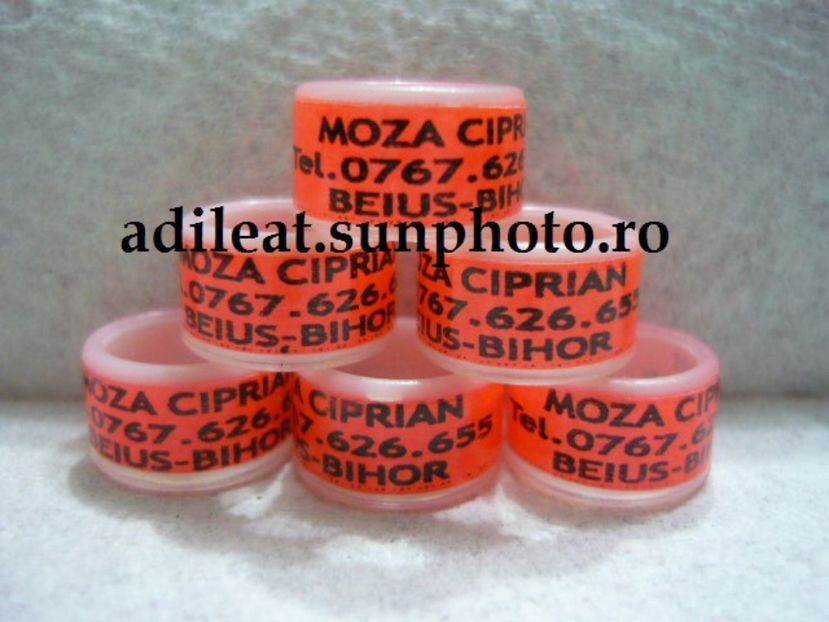 P1120889 - 1-A-INELE PERSONALIZATE 2017