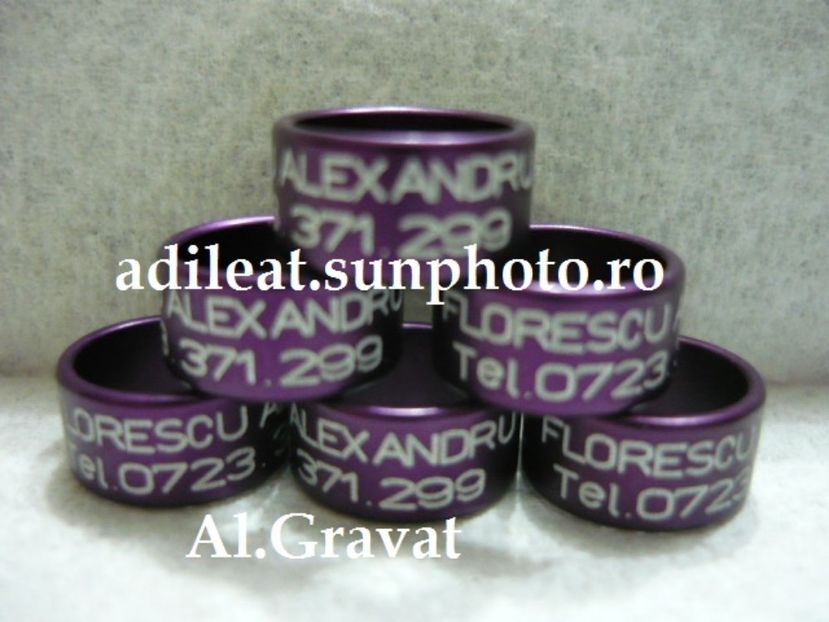 P1120890 - 1-A-INELE PERSONALIZATE 2017