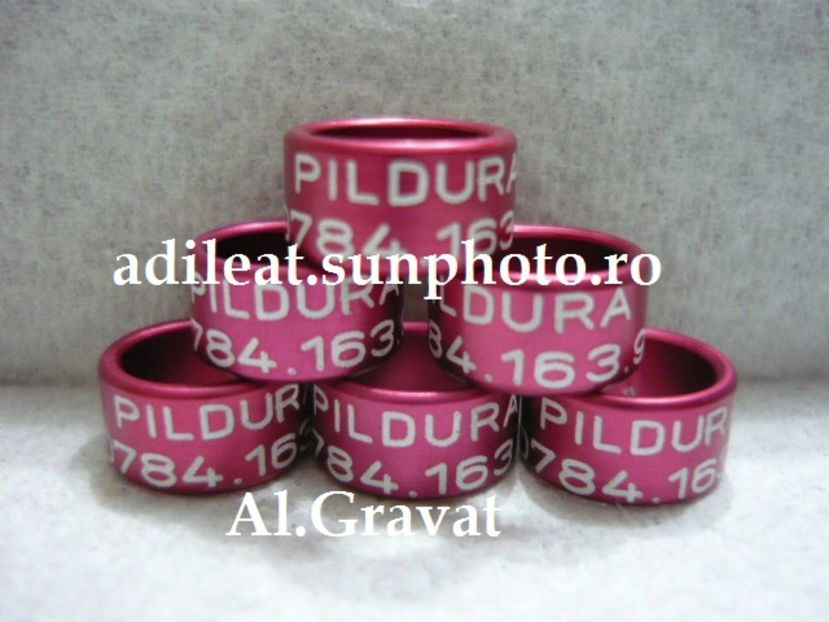 P1120891 - 1-A-INELE PERSONALIZATE 2017