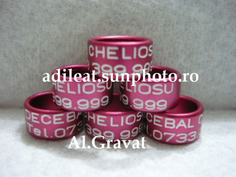 P1120892 - 1-A-INELE PERSONALIZATE 2017