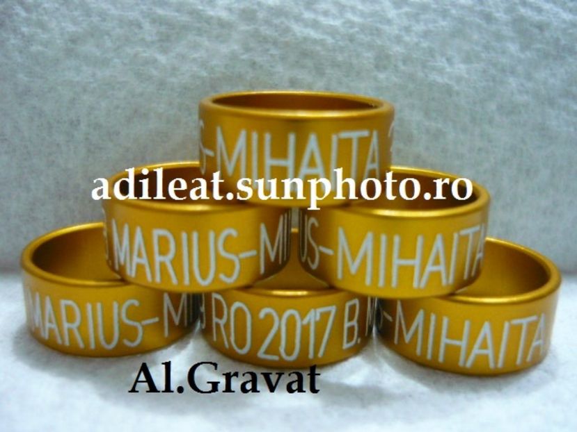 P1120894 - 1-A-INELE PERSONALIZATE 2017