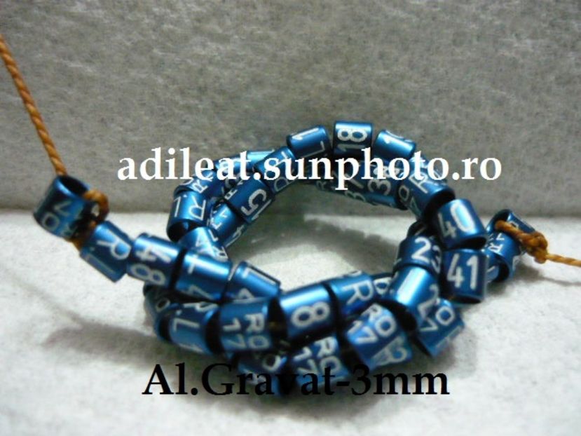 P1120895 - 1-A-INELE PERSONALIZATE 2017