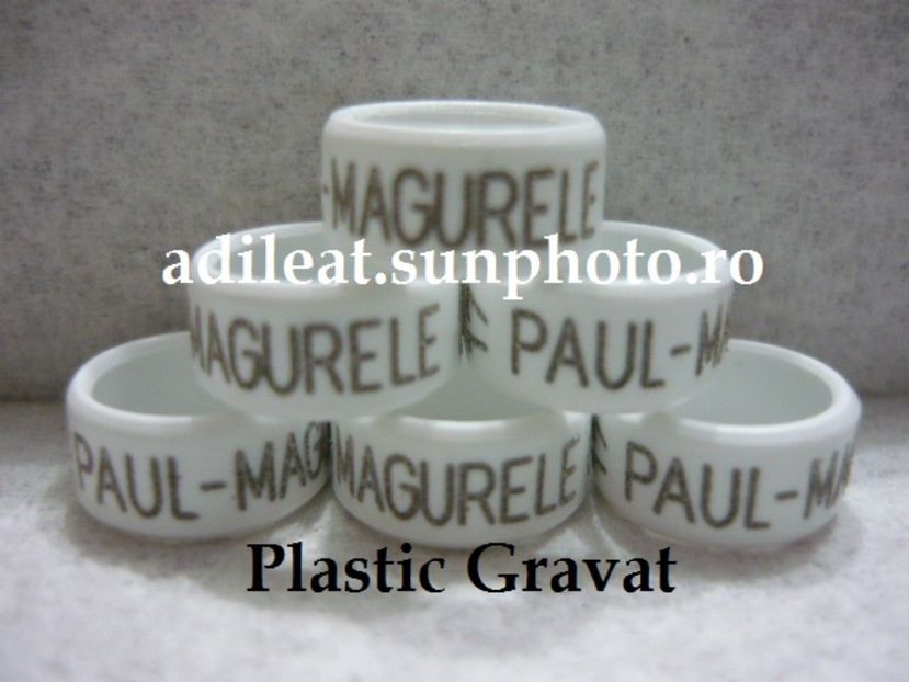 P1120897 - 1-A-INELE PERSONALIZATE 2017