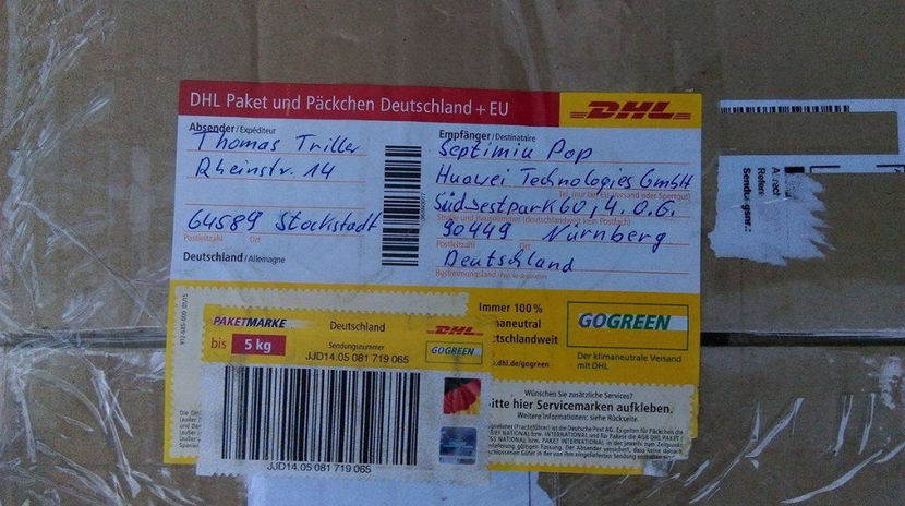 Achizitie oua campionul Germaniei - WYANDOTTE ARGINTIU