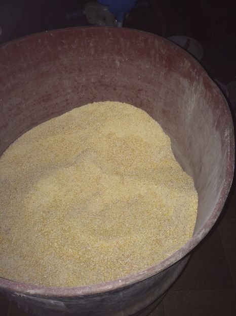  - MOARA SI GRANULATOR