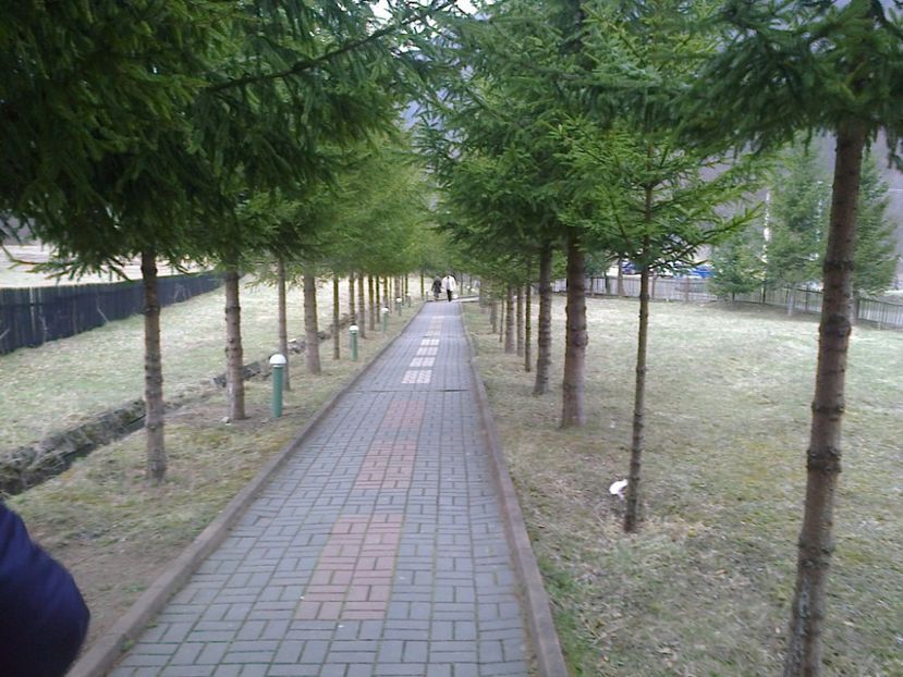 Manastirea Lepsa - Manastiri si Schituri