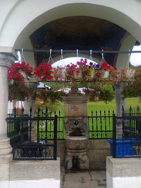 Manastirea Ciolanu - Manastiri si Schituri