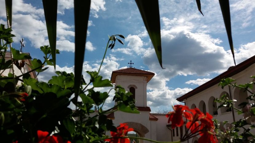  - Comana Manastirea Comana Delta Nejlovului Parcul de Aventura Comana