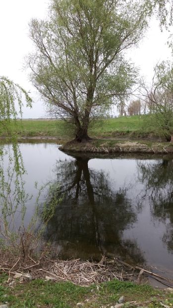  - Comana Manastirea Comana Delta Nejlovului Parcul de Aventura Comana