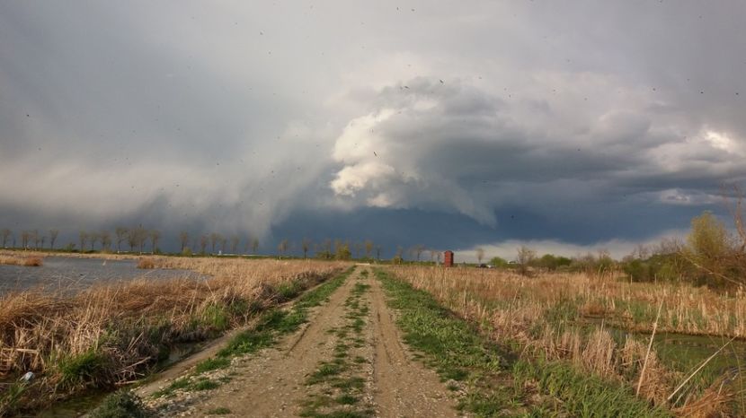  - Comana Manastirea Comana Delta Nejlovului Parcul de Aventura Comana