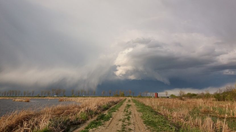  - Comana Manastirea Comana Delta Nejlovului Parcul de Aventura Comana