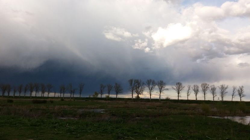 - Comana Manastirea Comana Delta Nejlovului Parcul de Aventura Comana