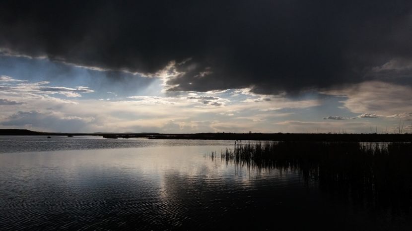  - Comana Manastirea Comana Delta Nejlovului Parcul de Aventura Comana