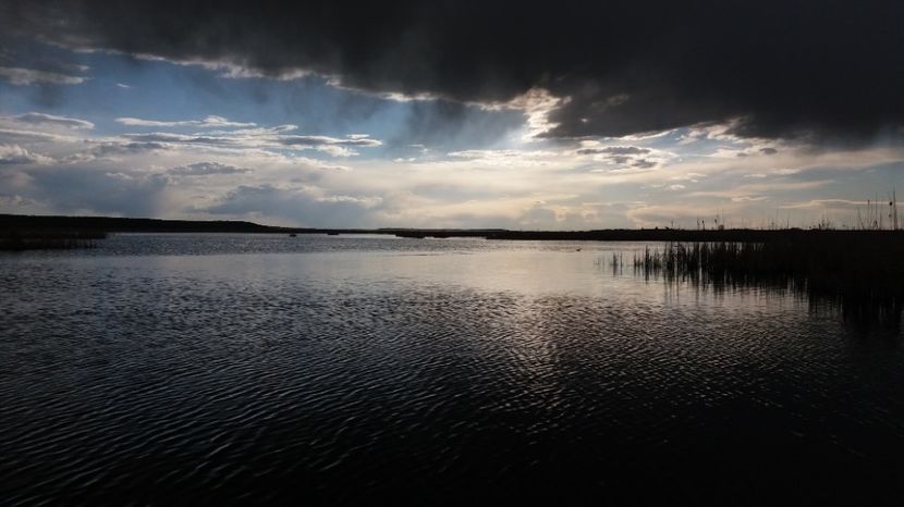  - Comana Manastirea Comana Delta Nejlovului Parcul de Aventura Comana