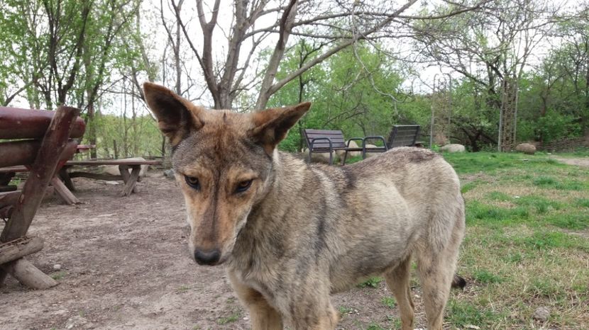  - Comana Manastirea Comana Delta Nejlovului Parcul de Aventura Comana