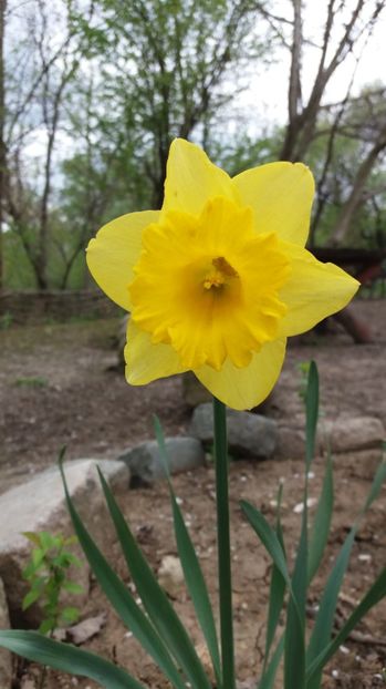  - Comana Manastirea Comana Delta Nejlovului Parcul de Aventura Comana