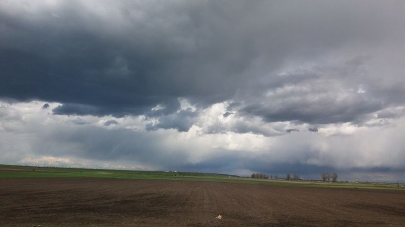 - Comana Manastirea Comana Delta Nejlovului Parcul de Aventura Comana