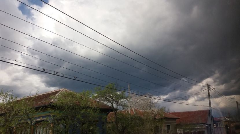  - Comana Manastirea Comana Delta Nejlovului Parcul de Aventura Comana