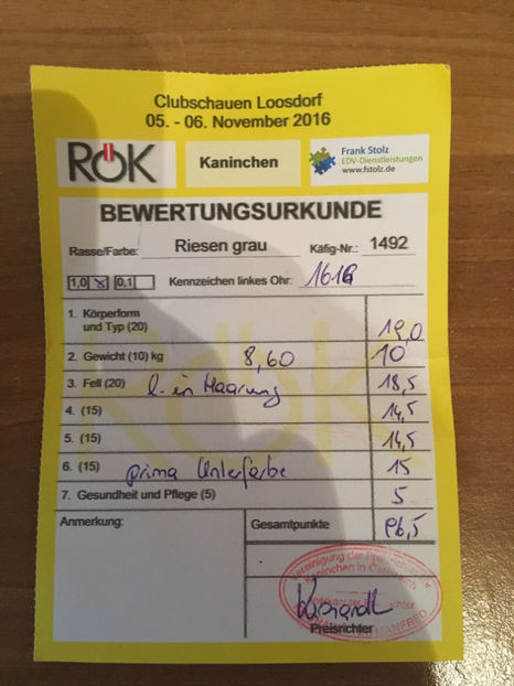 S7 1616(M) urechi 25cm linie Bruno Ohrt - Achizitie Barcsza 2017