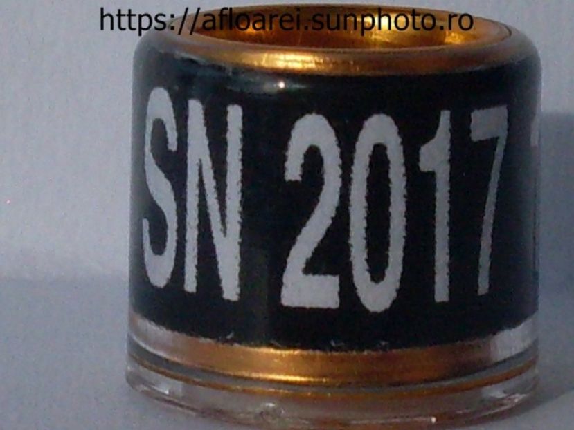SN 2017 NEGRU - SENEGAL