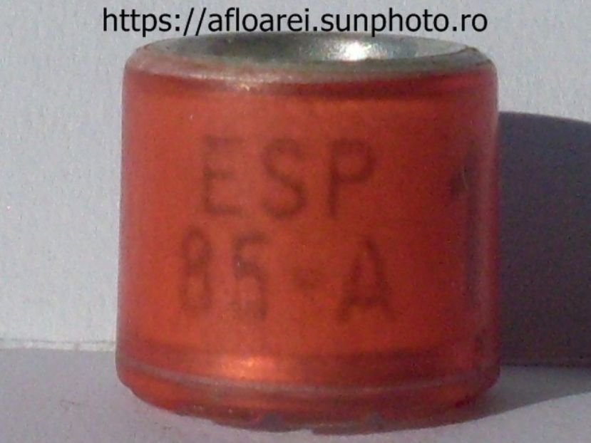 ESP 85 A - SPANIA-ESP