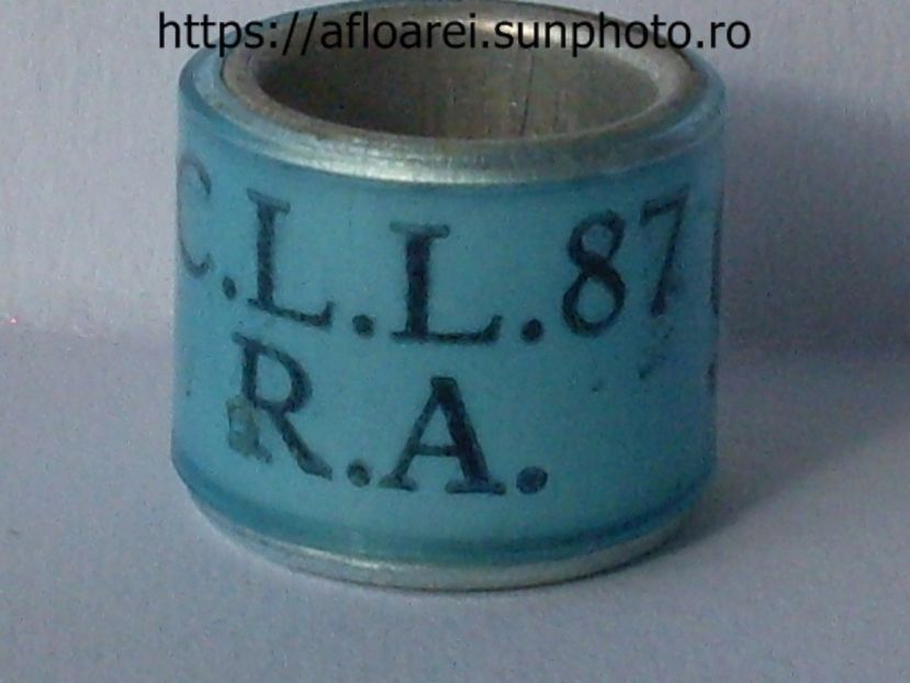 CLL 87 RA - CLL RA