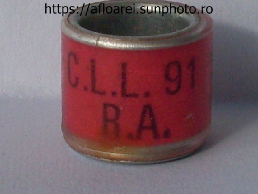 CLL 91 RA - CLL RA