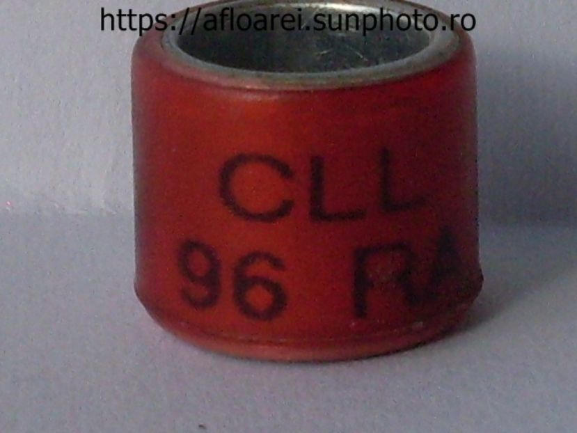 CLL 96 RA - CLL RA
