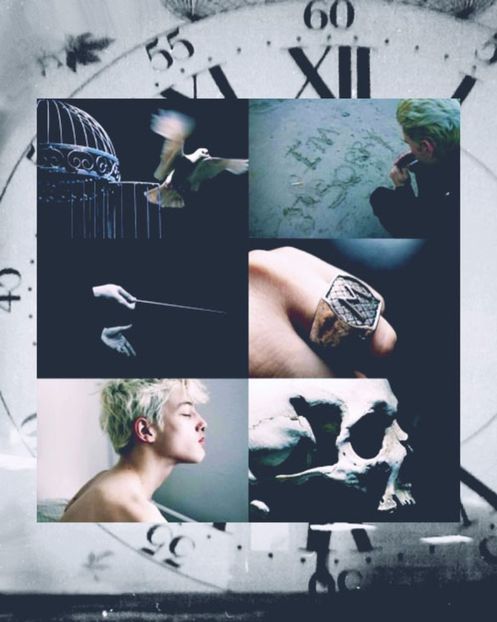 cherrypie ♔ Draco Malfoy - though we built a dinasty forever