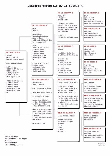 RRP-RO-571875-2015-M-pedigree - NOI ACHIZITII PE 2017