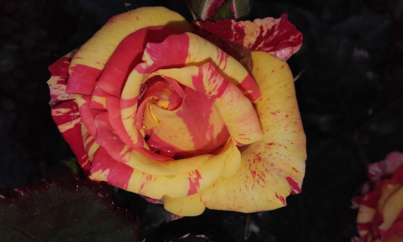  - FIRE FLASH Interplant 3