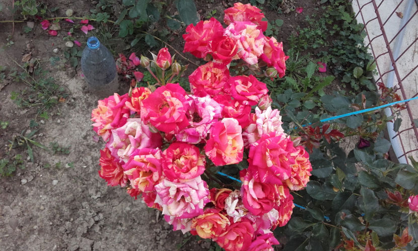 035 (2) - FIRE FLASH Interplant 3