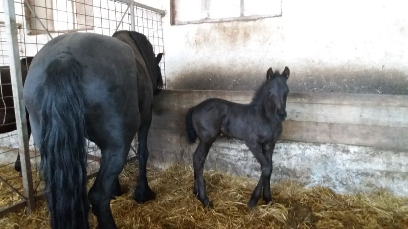  - CONTACTE 0762059686