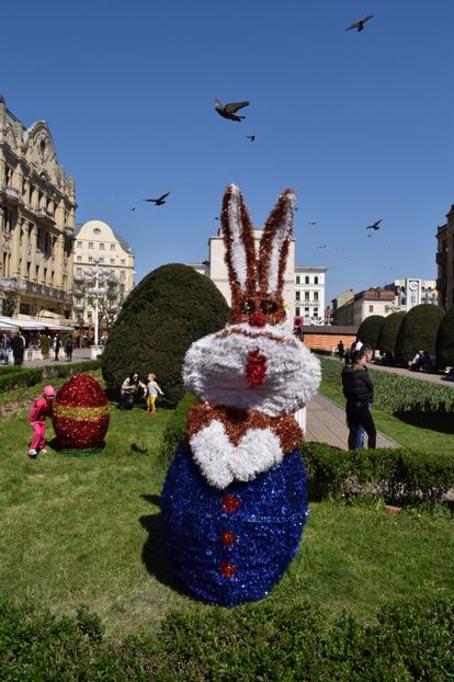  - 2017 IMAGINI DIN TIMISOARA