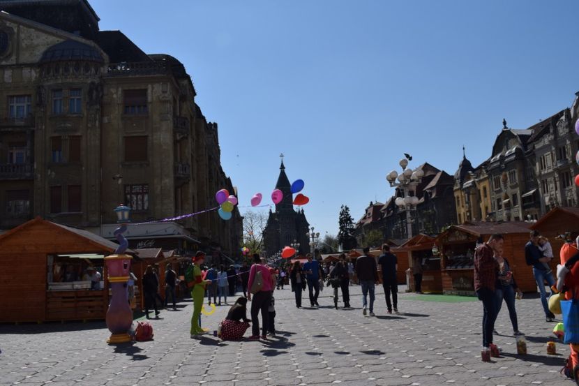  - 2017 IMAGINI DIN TIMISOARA