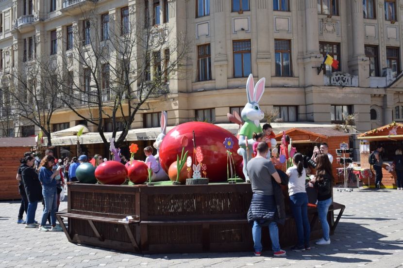  - 2017 IMAGINI DIN TIMISOARA