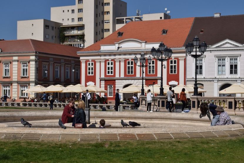  - 2017 IMAGINI DIN TIMISOARA