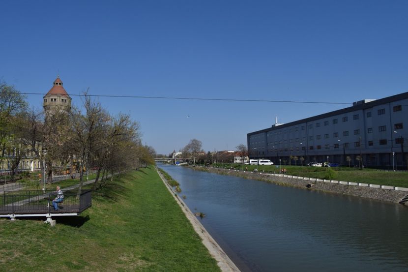  - 2017 IMAGINI DIN TIMISOARA