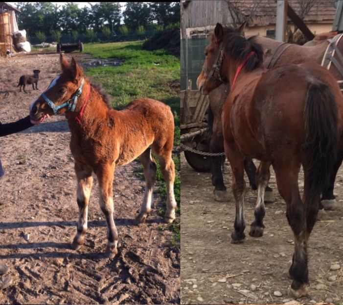 57A75F89-1A91-447B-A5BE-280ED9EED686 - caii mei