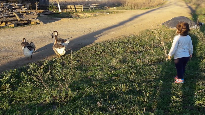  - a Gaste Africane matca 2017